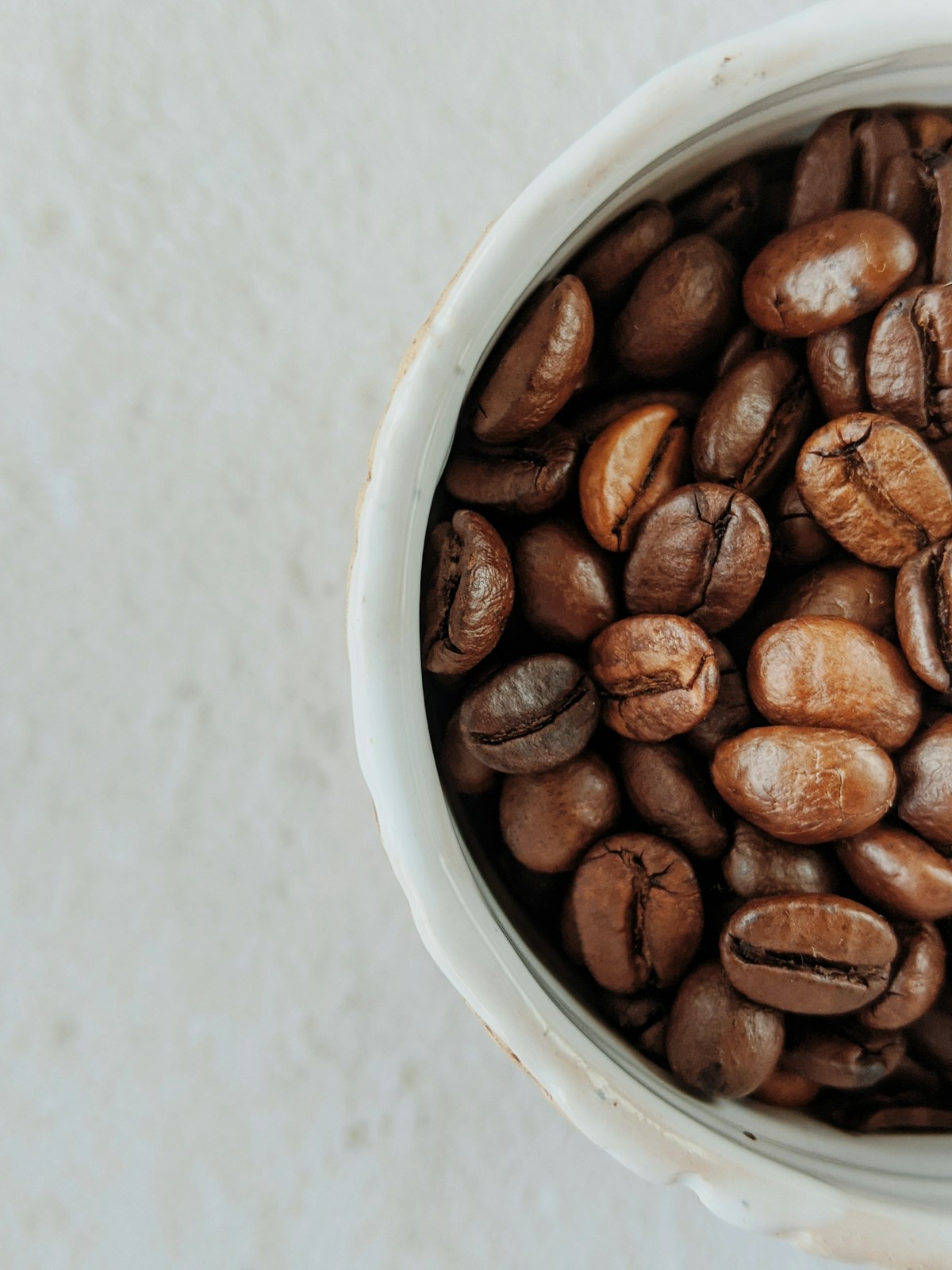 Rows of freshly roasted coffee beans cooling on a tray at Meridian Roasting Co.