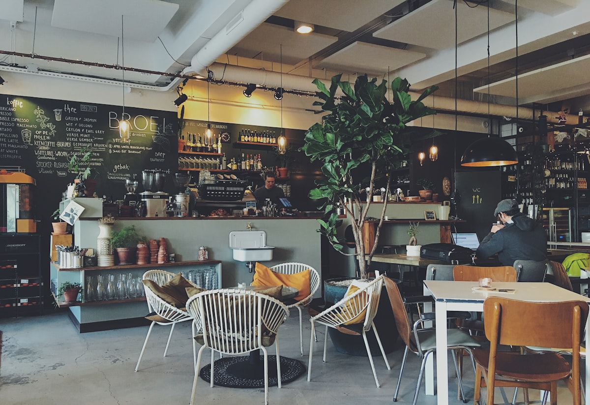 Warm interior of a specialty coffee shop with natural light streaming through windows