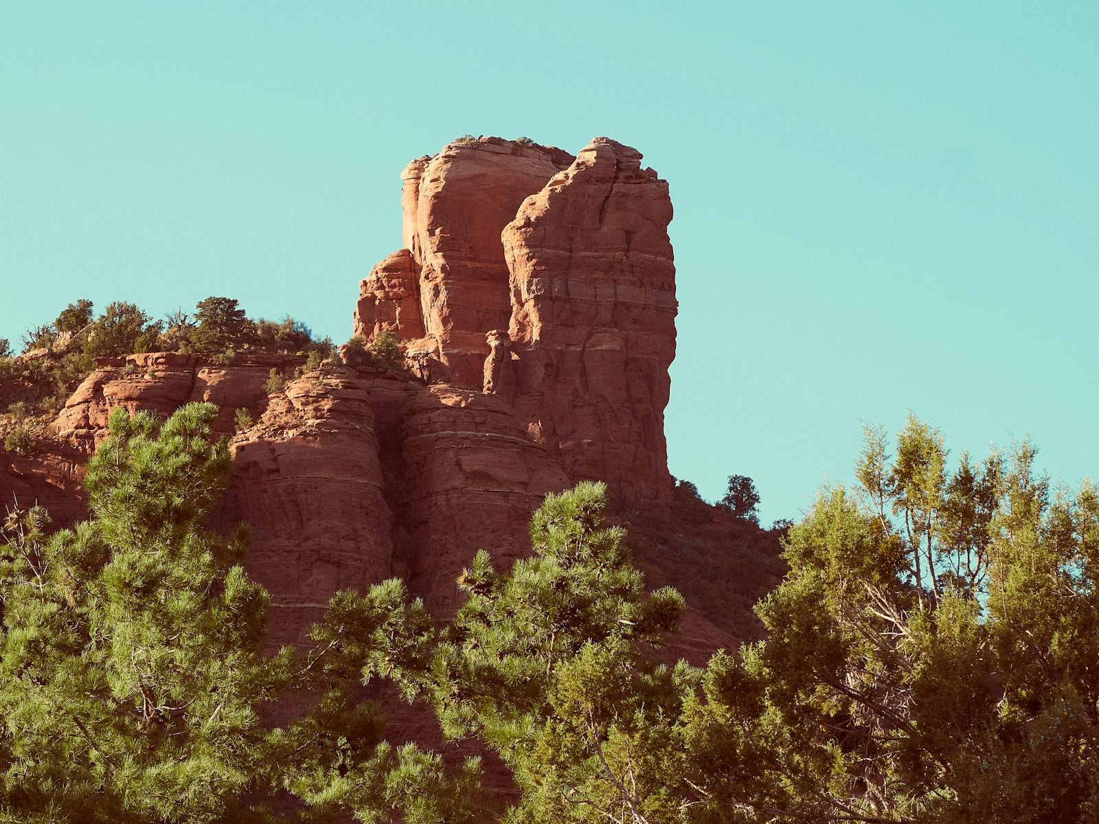 Sedona red rock panoramic landscape at golden hour