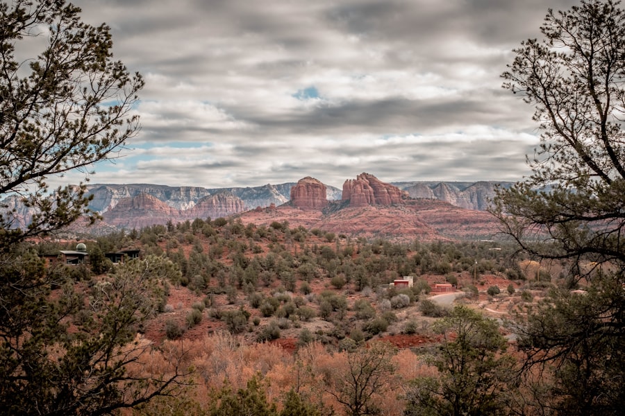 Red rock mountains framed by tree branches, Sedona Arizona